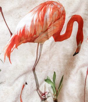 Loneta flamencos | AJ+B